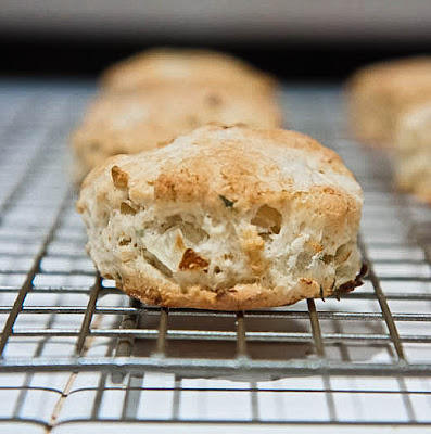 Saint-German-des-Prés Onion-Thyme Biscuit BLT's